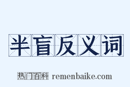 半盲反义词是什么意思的图片